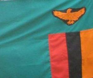 пазл Флаг Замбии
